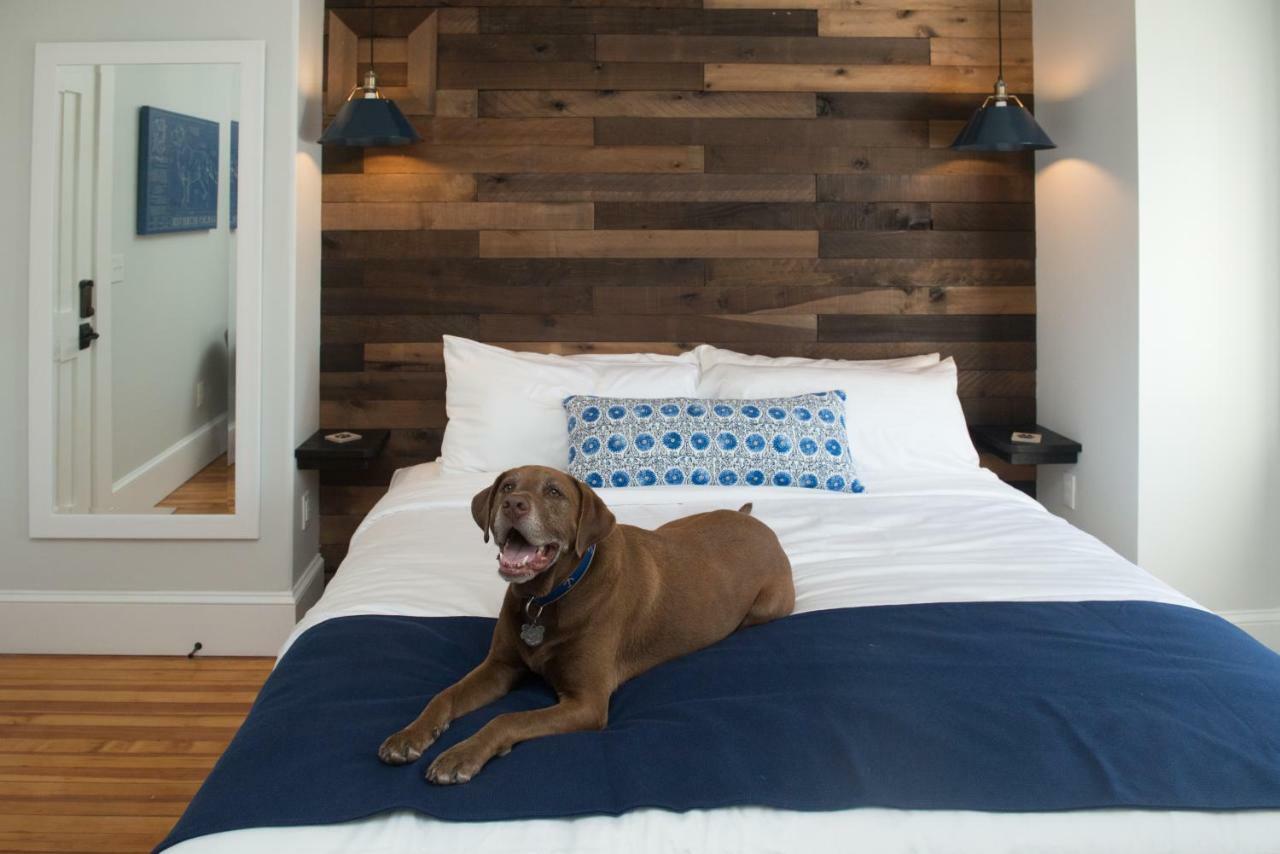Paws On Pelham (Adults Only) Bed & Breakfast Newport Ngoại thất bức ảnh