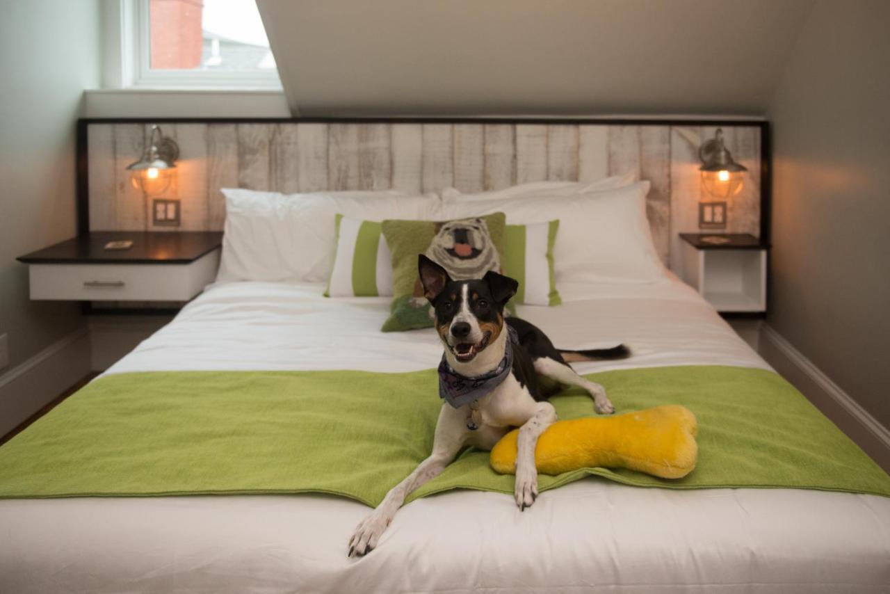 Paws On Pelham (Adults Only) Bed & Breakfast Newport Ngoại thất bức ảnh